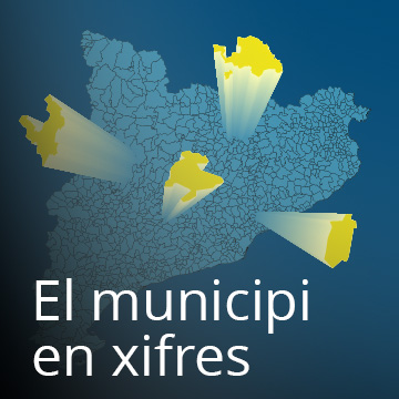 El municipi en xifres