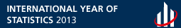 Any Internacional de l'Estad�stica (Statistics2013)
