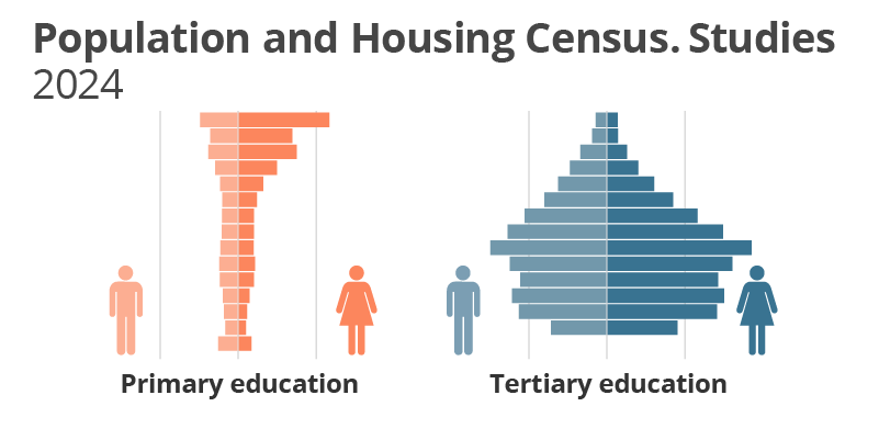 Population and Housing Census. Studies. 2024