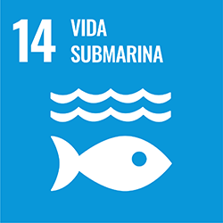 Objectiu 14: Vida submarina
