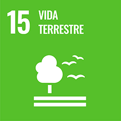 Objectiu 15: Vida terrestre