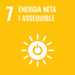Objectiu 7: Energia neta i assequible